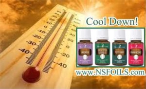 Global Warming Is Heating Up Summertime Temps To Record Highs Yet Again–Here Are Some Essential Oils To Help You Cope